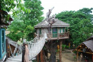 Tree house