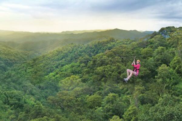 Jungle-Flight-1